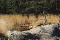 Allhelgona2012-002