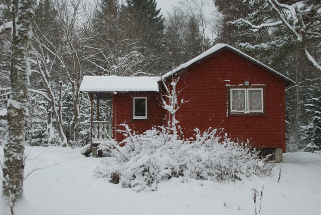 Pepparkakshelg2012-002