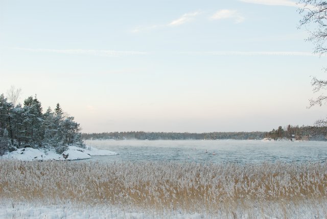 Pepparkakshelg2012-036