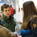 Snarigaskaggen2013-006