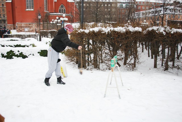 Snarigaskaggen2013-019