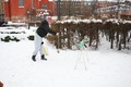 Snarigaskaggen2013-019