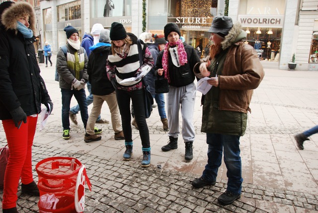 Snarigaskaggen2013-033
