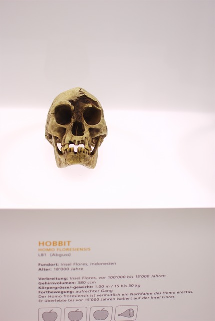 The Hobbits didn't make it to Eisengaard