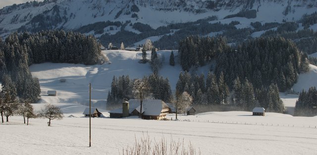 NewYear2012-087