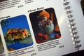 GN_Staff_Seminar_2013-168