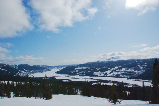 Are2013-009