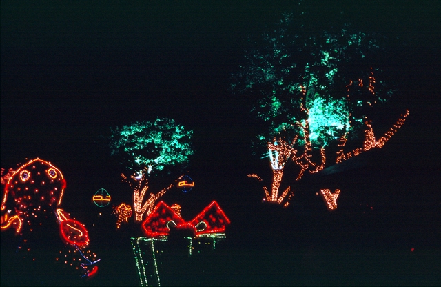 Colombia2006w-019