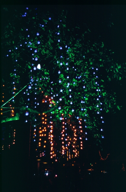 Colombia2006w-060