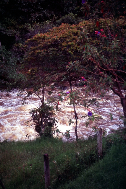 Colombia2006w-110