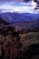 Colombia2006w-112