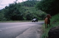 Colombia2006w-160