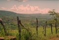 Colombia2006w-240