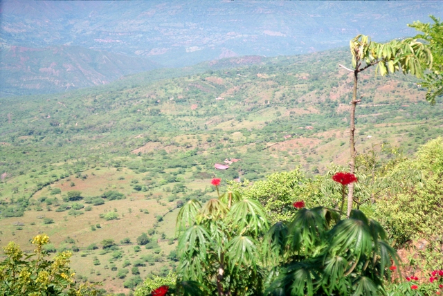 Colombia2006w-244