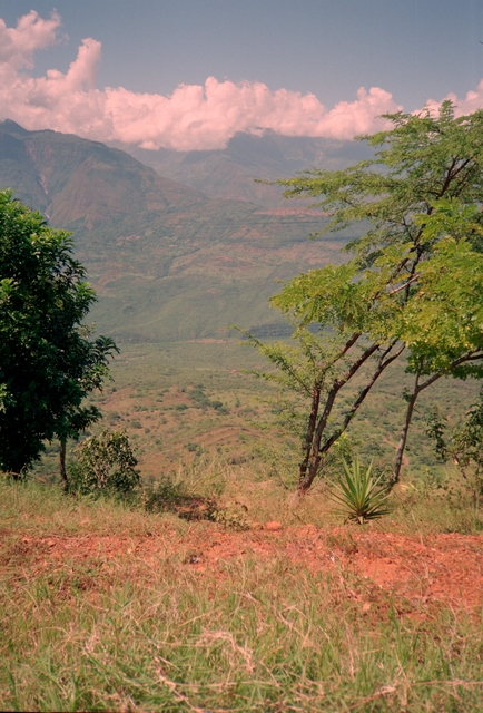 Colombia2006w-246