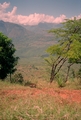 Colombia2006w-246