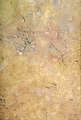 Colombia2006w-249
