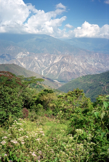 Colombia2006w-260