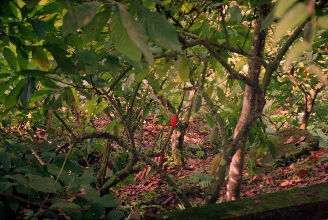 Colombia2006w-269