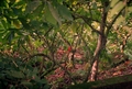 Colombia2006w-269