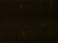 Kathrin_sthlm_weekend_20120413-010
