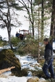 Hastnas_20120324-006