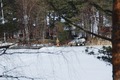 Hastnas_20120324-009