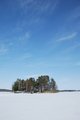 Hastnas_20120324-050