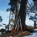 Hastnas_20120324-090