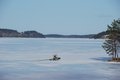 Hastnas_20120324-094