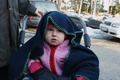 Hastnas_20120324-100