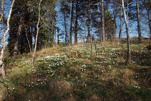SpejarnaPaddelhajk2013-114
