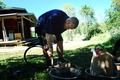 Midsommar2013-030
