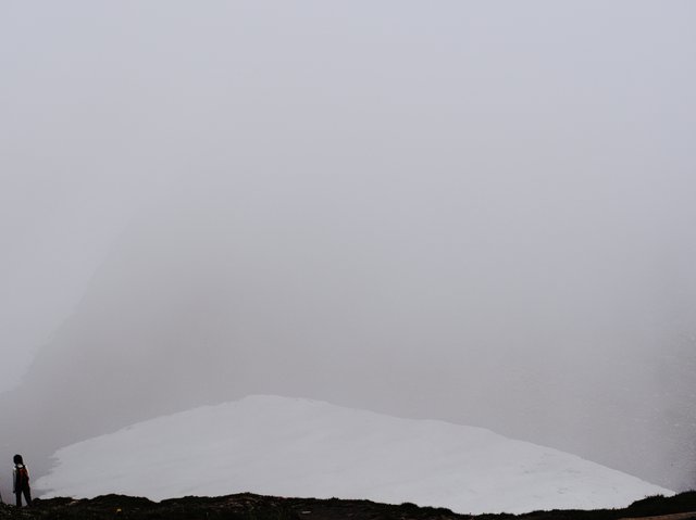 Alone against the white colours