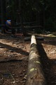 Vassaro2013-055