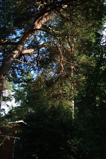 Vassaro2013-060