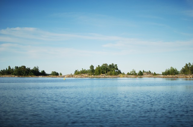 Vassaro2013-077