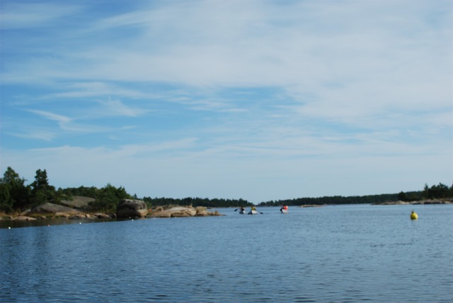 Vassaro2013-101