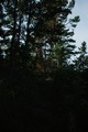 Vassaro2013-114