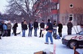SnarigaSkaggen2007-02