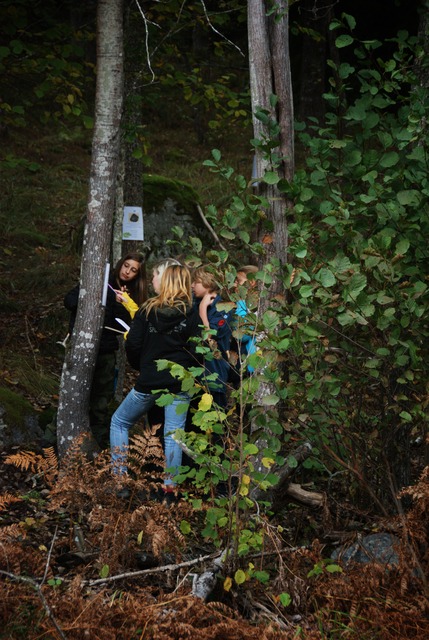 ScouternasNatt2013-015