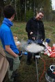 ScouternasNatt2013-031