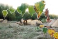 ScouternasNatt2013-073