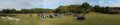 forst_i_mal_panorama