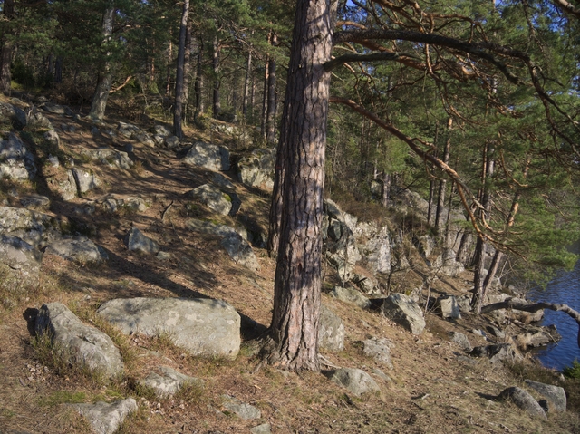 GeggaHajkTyresta2014-03-29-028