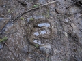 GeggaHajkTyresta2014-03-29-029