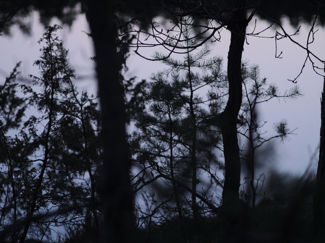 GeggaHajkTyresta2014-03-29-045