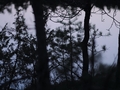 GeggaHajkTyresta2014-03-29-045