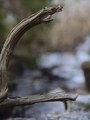 GeggaHajkTyresta2014-03-29-074