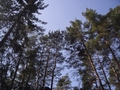 GeggaHajkTyresta2014-03-29-094